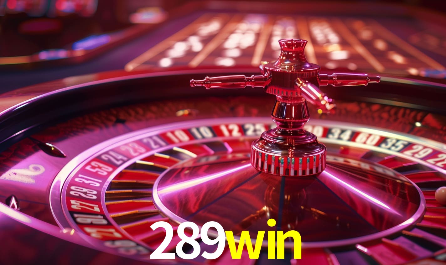 Instalador 289win Windows
